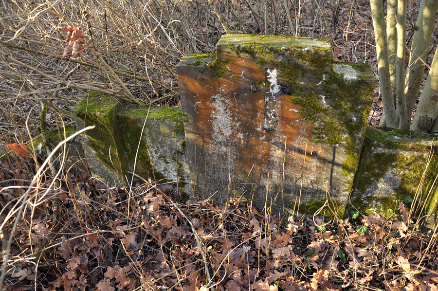 Cmentarz ewangelicko-augsburski w Starym Adamowie