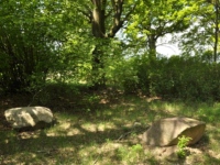 Cmentarz ewangelicko-augsburski w Aleksandrowie