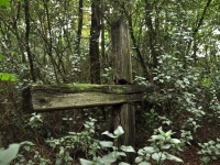 Cmentarz ewangelicko-augsburski w Anielinie