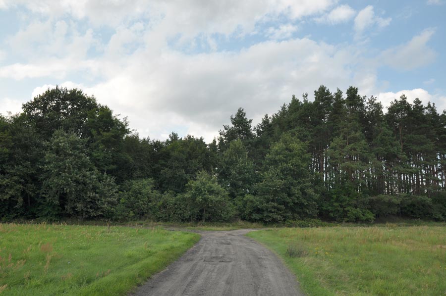 Cmentarz ewangelicko-augsburski w Antoniowie