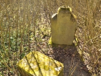 Cmentarz ewangelicko-augsburski w Augustopolu