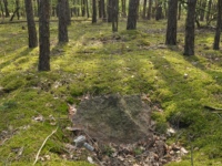 Cmentarz ewangelicko-augsburski w Augustowie