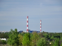 Cmentarz ewangelicko-augsburski w Augustowie