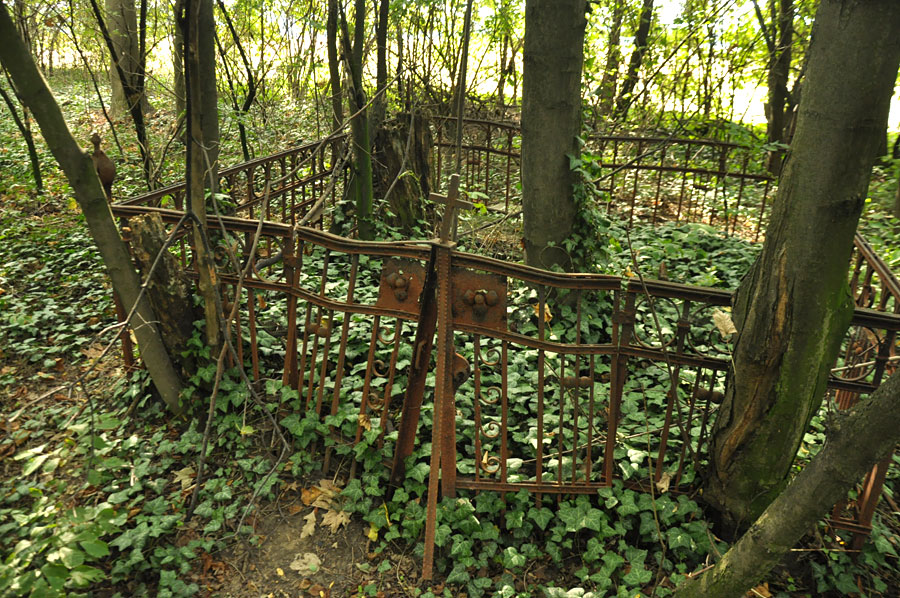 Cmentarz ewangelicko-augsburski w Bechcicach-Kolonii