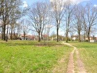 Cmentarz ewangelicko-augsburski w Bełchatowie