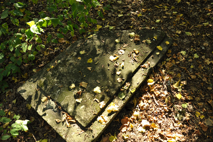 Cmentarz ewangelicko-augsburski w Borowej