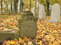 Cmentarz ewangelicko-augsburski w Bukowcu