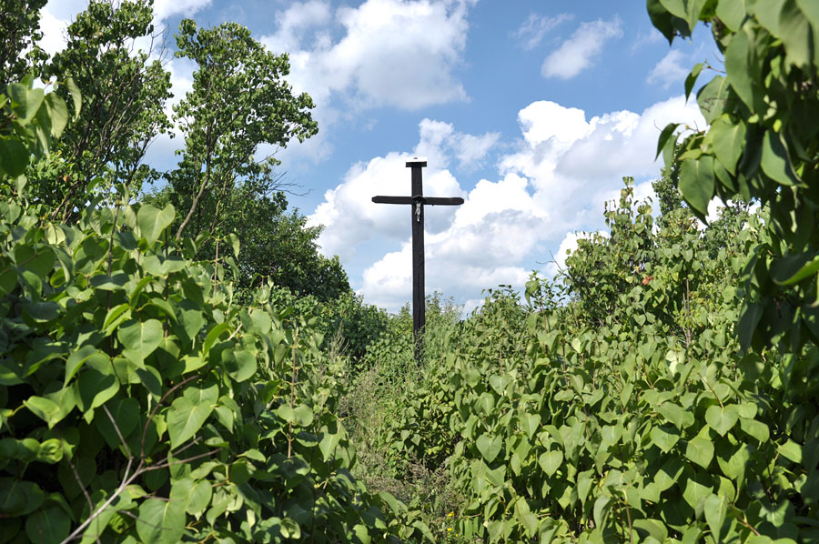 Cmentarz ewangelicko-augsburski w Chorzepinie