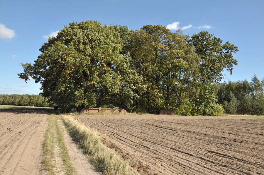 Cmentarz ewangelicko-augsburski w Ciosnach
