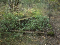 Cmentarz ewangelicko-augsburski w Gościmowicach