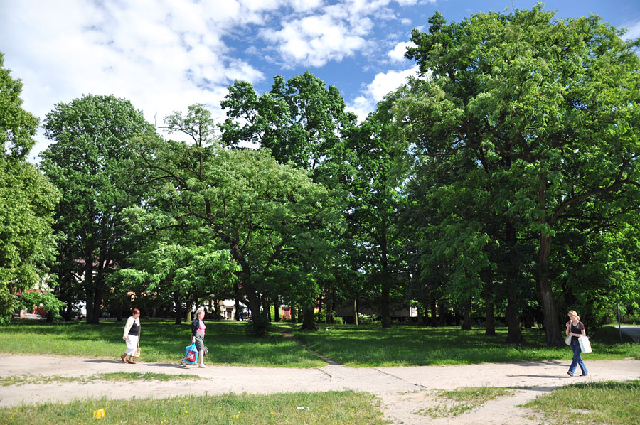 Cmentarz ewangelicko-augsburski w Grabieńcu
