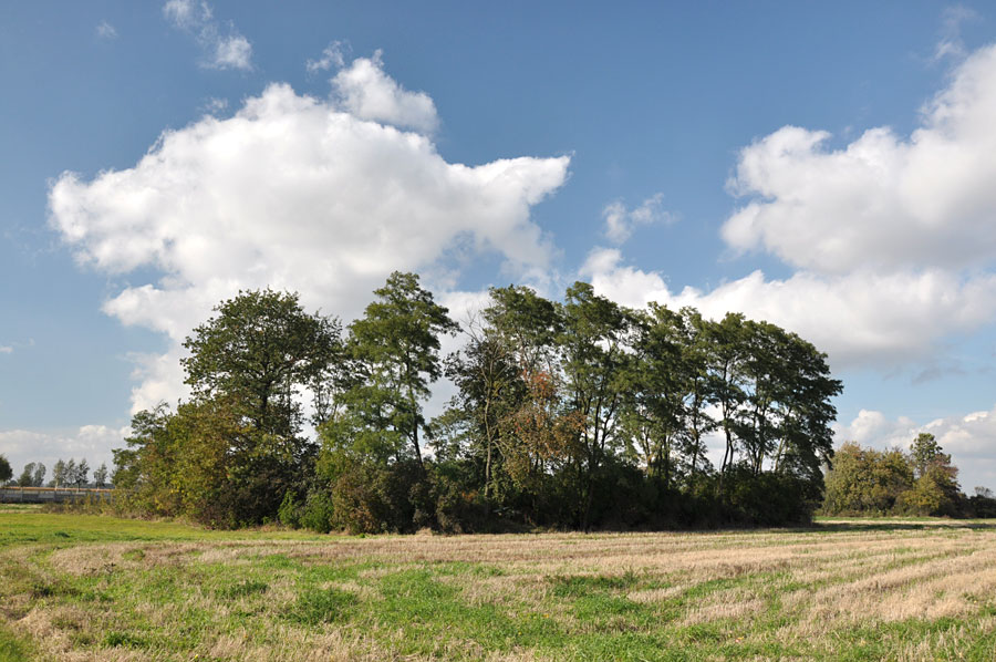 Cmentarz ewangelicko-augsburski w Grabowie