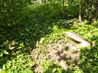 Cmentarz ewangelicko-augsburski w Janowie