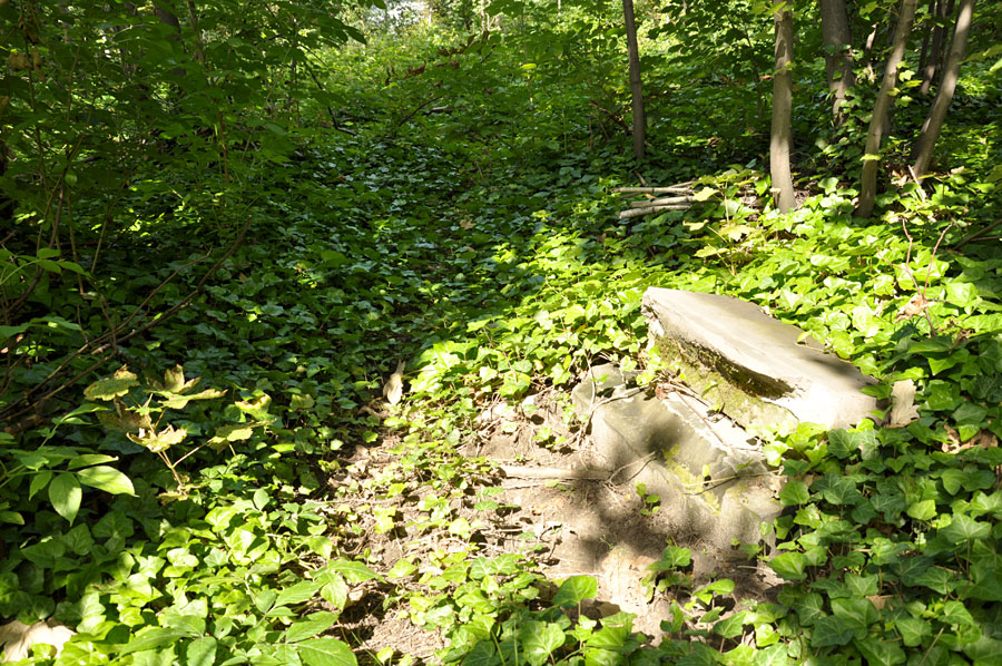 Cmentarz ewangelicko-augsburski w Janowie