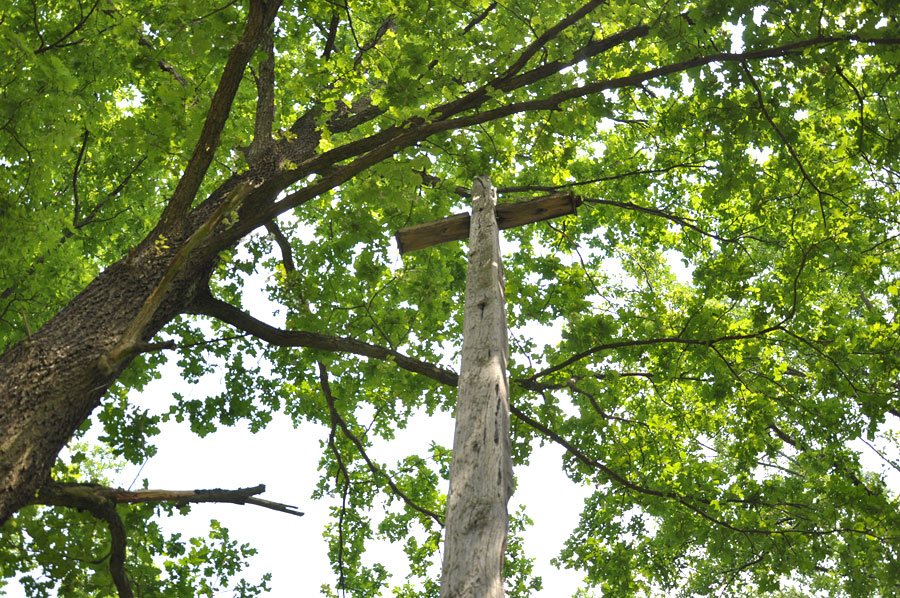 Cmentarz ewangelicko-augsburski w Kałdunach