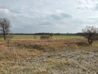 Cmentarz ewangelicko-augsburski w Karolinowie