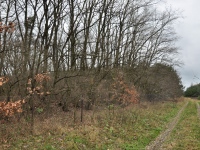 Cmentarz ewangelicko-augsburski w Kęblinach