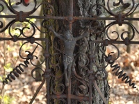 Cmentarz ewangelicko-augsburski w Kociszewie