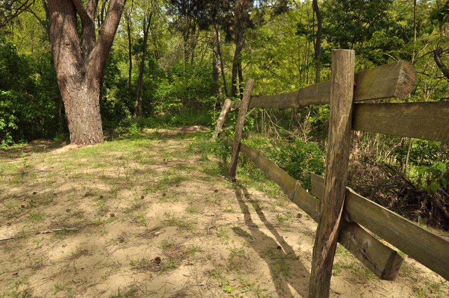 Cmentarz ewangelicko-augsburski w Krzeczowie