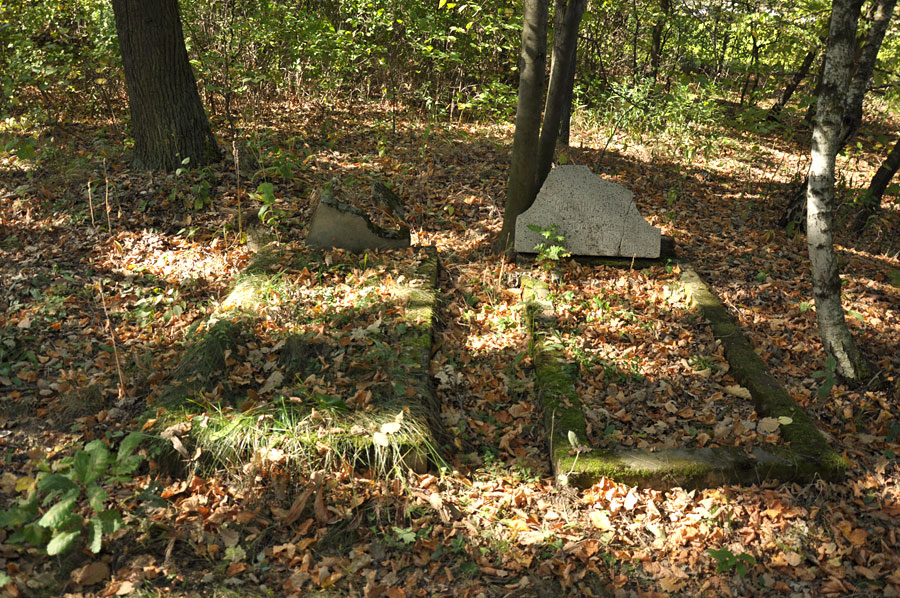 Cmentarz ewangelicko-augsburski w Łączkowicach