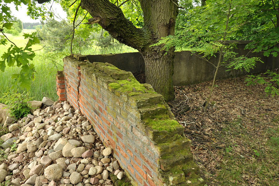 Cmentarz ewangelicko-augsburski w Lipiankach