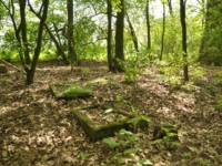 Cmentarz ewangelicko-augsburski w Maksymowie