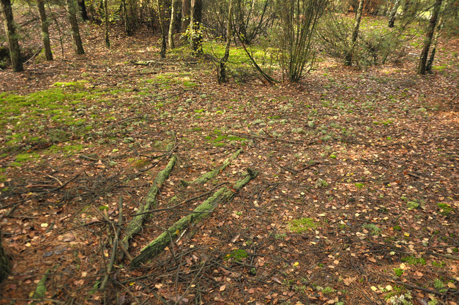 Cmentarz ewangelicko-augsburski w Młoszowie