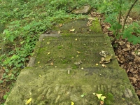 Cmentarz ewangelicko-augsburski w Myszakach