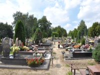 Cmentarz ewangelicko-augsburski w Nowosolnej