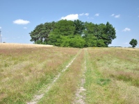 Cmentarz ewangelicko-augsburski w Pratkowie