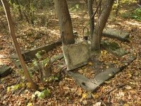 Cmentarz ewangelicko-augsburski w Przanowicach