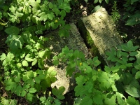 Cmentarz ewangelicko-augsburski w Rochowie