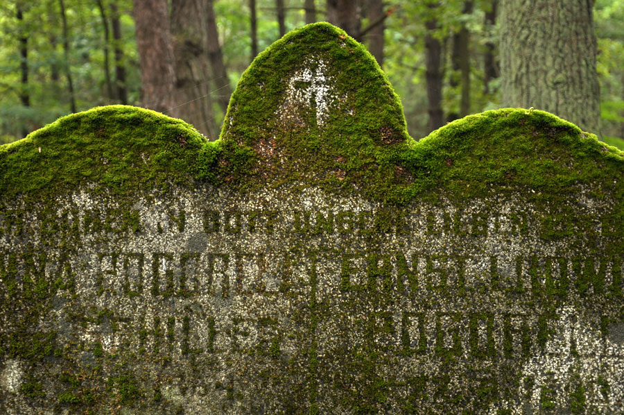 Cmentarz ewangelicko-augsburski w Rokitnicy