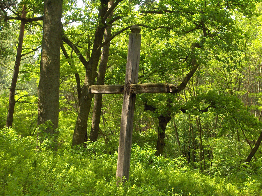 Cmentarz ewangelicko-augsburski w Rosanowie