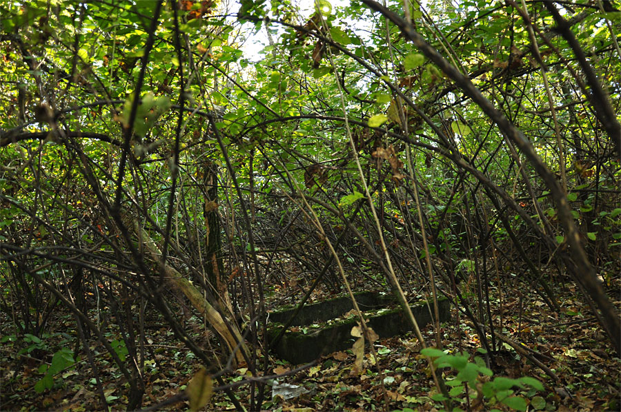 Cmentarz ewangelicko-augsburski w Rudunkach