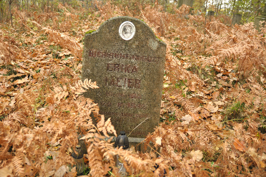 Cmentarz ewangelicko-augsburski w Rydzynach