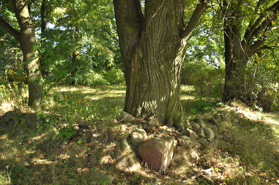 Cmentarz ewangelicko-augsburski w Słotwinach