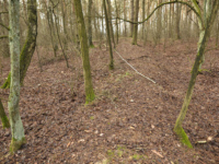 Cmentarz ewangelicko-augsburski w Świniokierzu Włościańskim