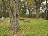 Cmentarz ewangelicko-augsburski w Tuszynie