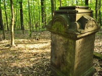 Cmentarz ewangelicko-augsburski w Żabieńcu