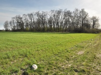 Cmentarz ewangelicko-augsburski w Zgórzu