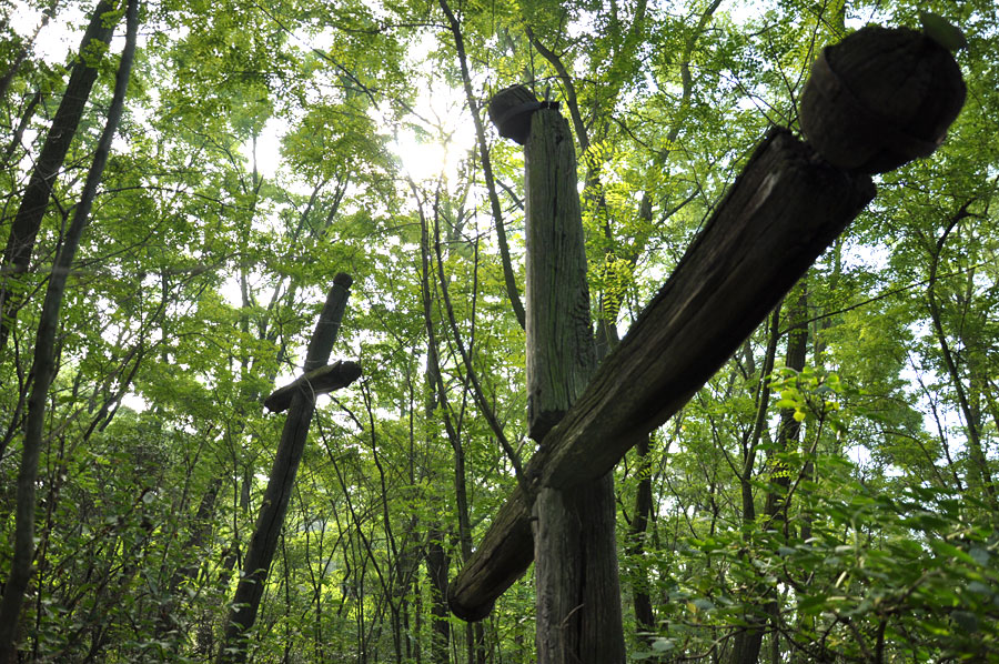 Cmentarz ewangelicko-augsburski w Zimnych